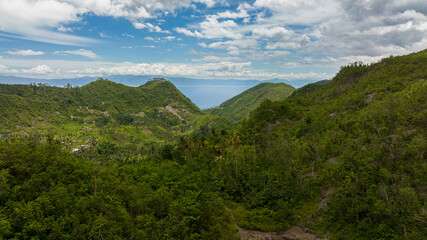 Fototapeta na wymiar Aerial view of the jungle and rainforest to the sea. Cebu, Philippines.