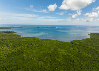 Fototapeta na wymiar Aerial drone of coastline of Balabac Island and the blue sea. Palawan. Philippines.