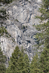 Fototapeta na wymiar Granite rocks in Yosemite NP