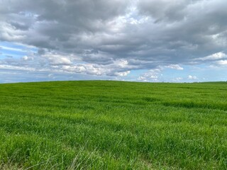 Green grass field under clouded sky