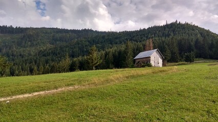 camping house in the mountains,clean and fresh air, unforgettable vacation without the noisy sounds of the city, the smell of pine trees and blossoming flowers and aromatic herbs that fill you with he