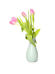 Vase with blooming tulip flowers isolated on white background