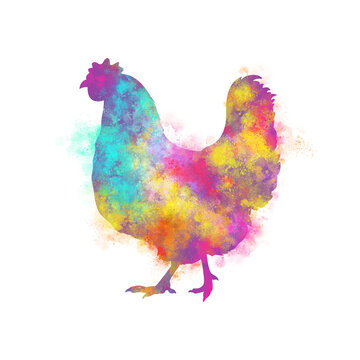 Watercolor chicken drawing, silhouette of a rooster, Watercolor hen art, chicken, Png, Transparent, poultry