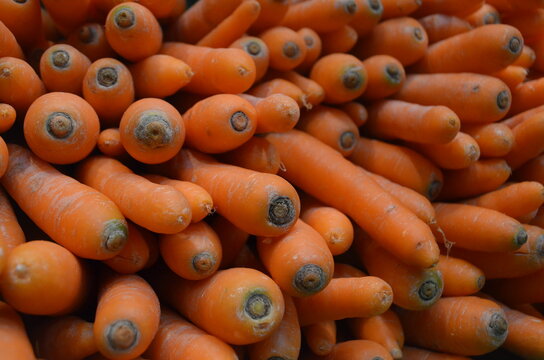 Zanahorias