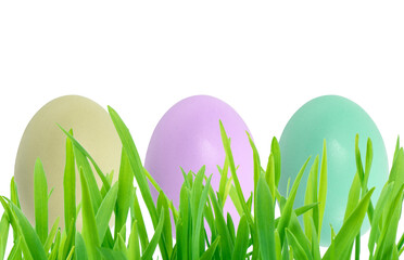 Easter eggs over green grass isolated on white background. Rainbow colored Easter eggs isolated. Group of easter eggs in a row.