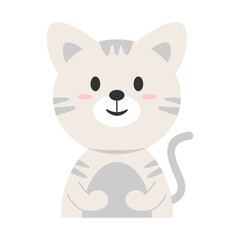 Cat Animal Expression