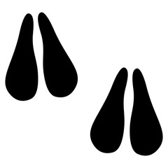 Animal Foot Track
