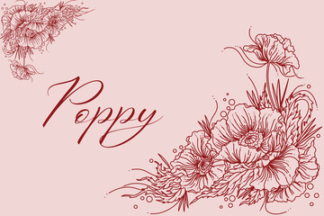 Fototapeta na wymiar Beautiful Poppy Flowers Line Art Illustration