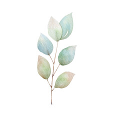 green leaves isolated on white