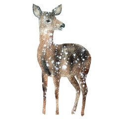 watercolor deer in winter