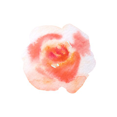 Isolated watercolor orange rose