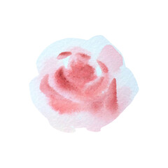 Isolated watercolor pink rose