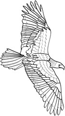 eagle flying on wings illustration
