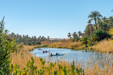 Unrecognizable people kayaking in Kerrouche stretch of water. Green and yellow bushes, palm trees oasis and sand dunes afar with a blue clear sky. Sahara desert of Taghit in Bechar province of Algeria