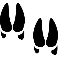 Animal Foot Track