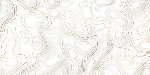Luxury golden paper cut style topography concept background. Vector illustrator