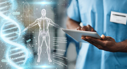 Hands, tablet and doctor with body hologram, overlay and dna research for medical innovation on...