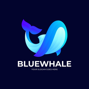 Colorful vector blue whale logo icon illustration, blue whale in sea