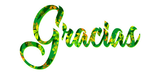 Gracias - thank you written in spanish -Flower and  green color - picture, poster, placard, banner, postcard, card.  png

 - obrazy, fototapety, plakaty