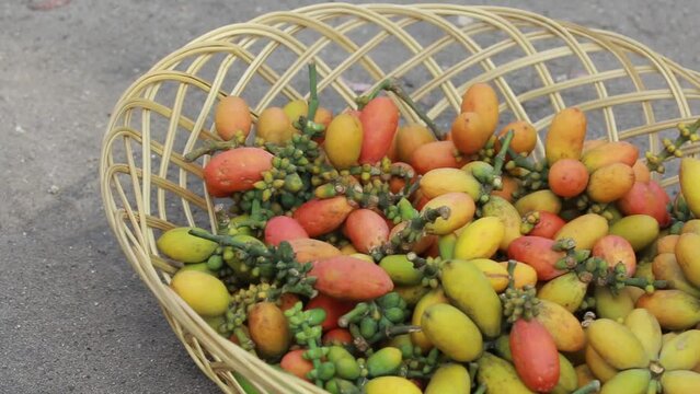 Gnetum gnemon linn. Melinjo fruit in a container made of rattan.