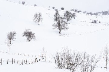 Landscape on the cold winter morning. Location place Giresun Highlands, Black Sea - Turkey