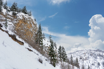 Landscape on the cold winter morning. Location place Giresun Highlands, Black Sea - Turkey