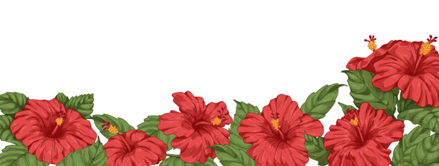 Hibiscus flowers, botanical border. Blossomed floral background drawn in vintage style. Blooming Hawaii plants with leaves, decorative edge, garden banner. Realistic retro colored vector illustration