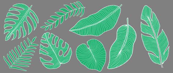 Set of vector tropical green leaves on a gray background: palm leaves, fern, banana leaves, monstera.