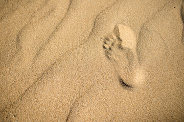 Fototapeta na wymiar Beautiful close-up of a footprint in a desert landscape of a white sand beach. Fuerteventura, Canary Islands, Spain