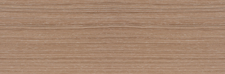 Natural oak texture. Wood texture. Oak board for furniture production. Untreated plank of young oak with fine texture in light color