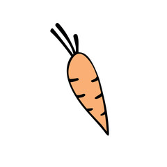 Carrot vector drawing icon. Simple color clip art vegetable in doodle style, outline illustration of farm product