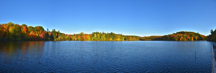 Panoramic landscape of a Canadian forest at the lake during a beautiful Indian summer