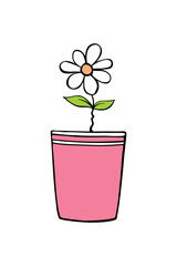 Pink pot with flower chamomile. Hand drawn simple outline color vector illustration in doodle style, isolated. Design element, clip art for decoration