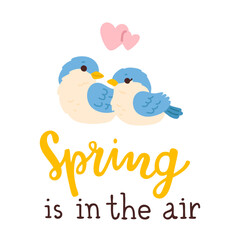 Vector illustration of spring is in the air print with cute cartoon sparrow birds and hand drawn lettering