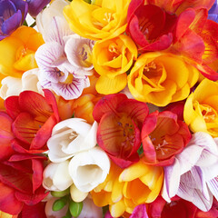 Fototapeta na wymiar Vibrant red, orange, yellow and white freesia flowers bouquet top view closeup. A lovely, natural background.