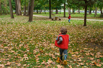 two small children run together through fallen leaves in a park