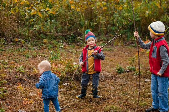 three small boys play together in a prairie in autumn