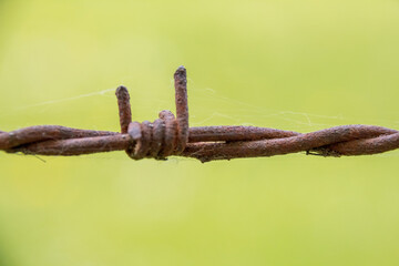 barbed wire against a fence