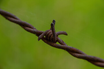 barbed wire against a fence