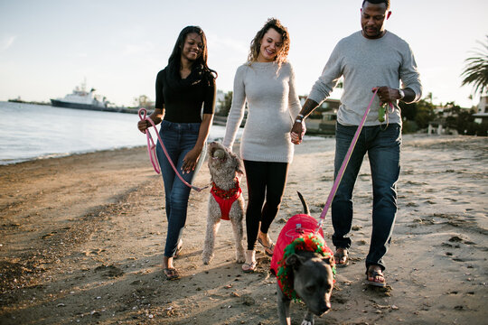 blended family walking dogs on beach at sunset