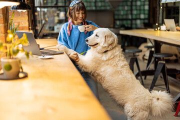 Woman sits with her cute adorable dog at modern coffee shop and works on laptop. Pet friendly places and spending time with pets concept - 572175692