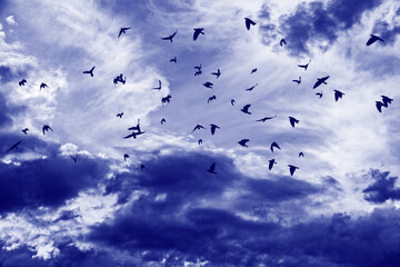 dark clouds on a blue sky - close up texture
