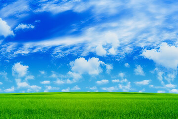 Fototapeta na wymiar Beautiful green meadow with blue sky, clean environment background. Generative ai