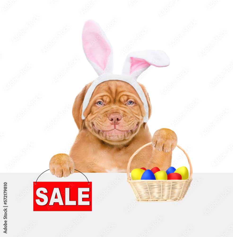 Poster smiling puppy wearing easter rabbits ears looks from behind empty white banner holds basket of paint
