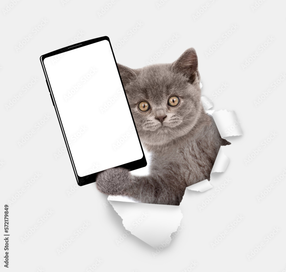 Aufkleber cute cat holds big smartphone with white blank screen through torn white paper hole. empty free spac