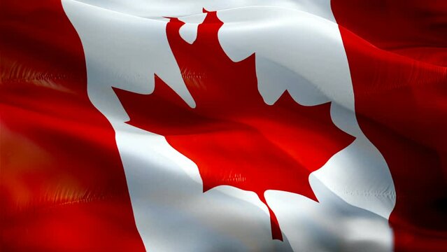 Canadian flag. 3d Canada sign waving video. Flag of Canada holiday seamless loop animation. Canadian flag silk HD resolution Background. Canada flag Closeup 1080p HD video for Independence Day,Victory