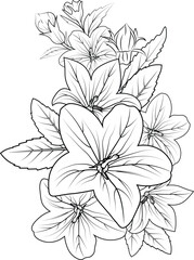 Bellflower pencil art, Black and white outline vector coloring page and book for adults and children Campanula Bellflower with leaves hand drawn engraved ink illustration artistic tattoo design.
