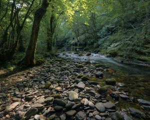Low flow at the end of summer in a river
