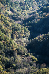 Slopes of mixed deciduous forest converge towards the valley