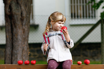 Little cute girl eat red ripe apple. Happy smiling preschool child with satchel holding fresh bio...